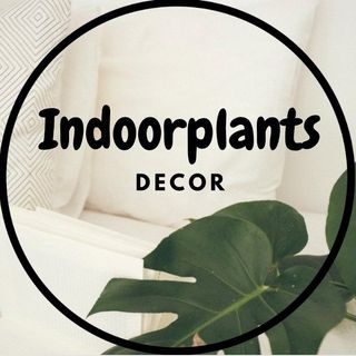 Hire .........nts_decor influencer with 508.3k